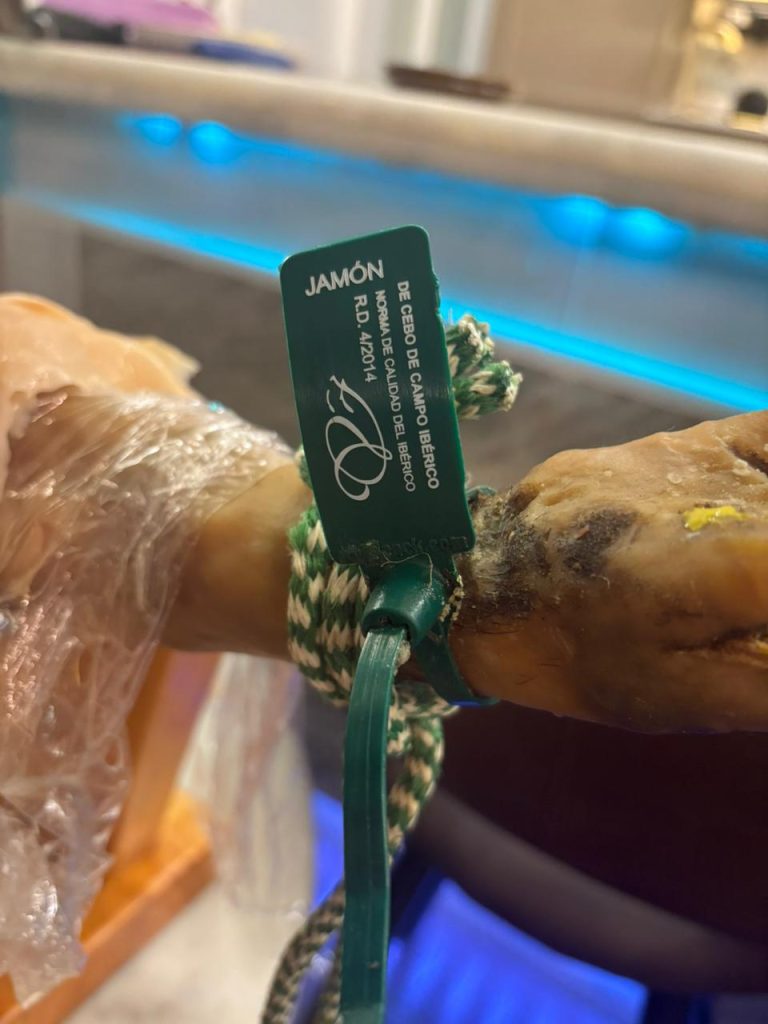 whatsapp-image-2025-11-06-at-112532